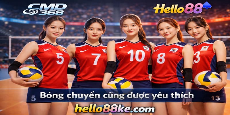 Bóng chuyền cũng được yêu thích