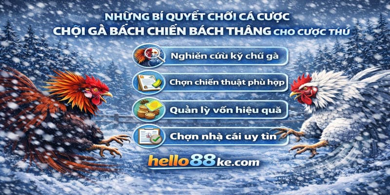 Những bí quyết chơi cá cược chọi gà bách chiến bách thắng cho cược thủ