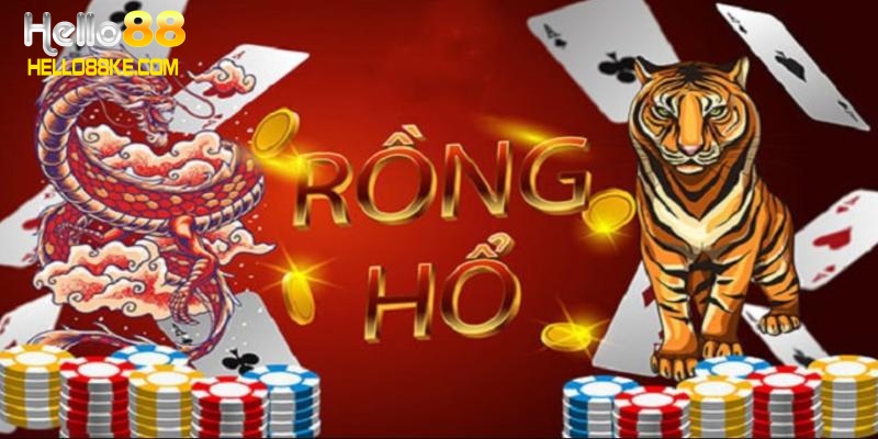 Cách chơi rồng hổ online chuẩn nhất dành cho người mới